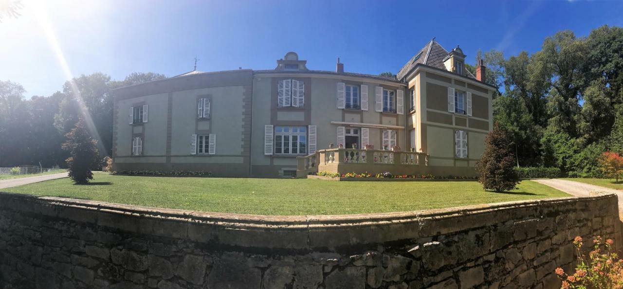 Chateau Du Prelong Hotel Druillat Buitenkant foto